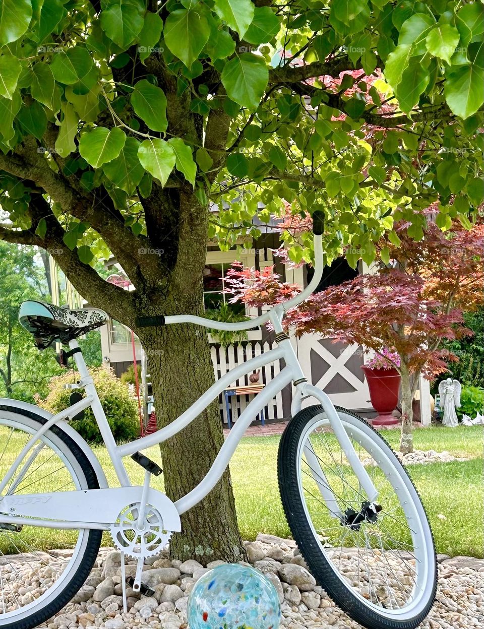 White bike under a tree