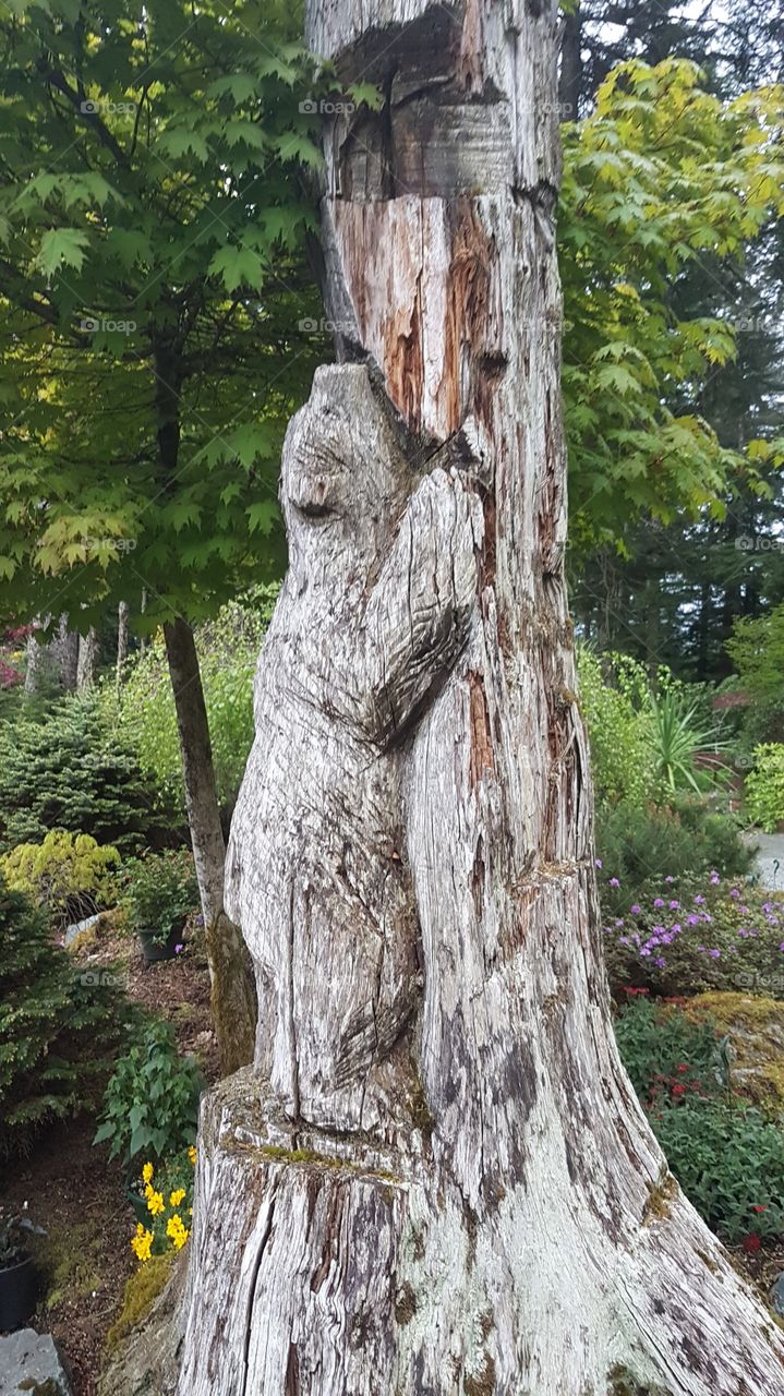 bear carving on tree trunk. alaska