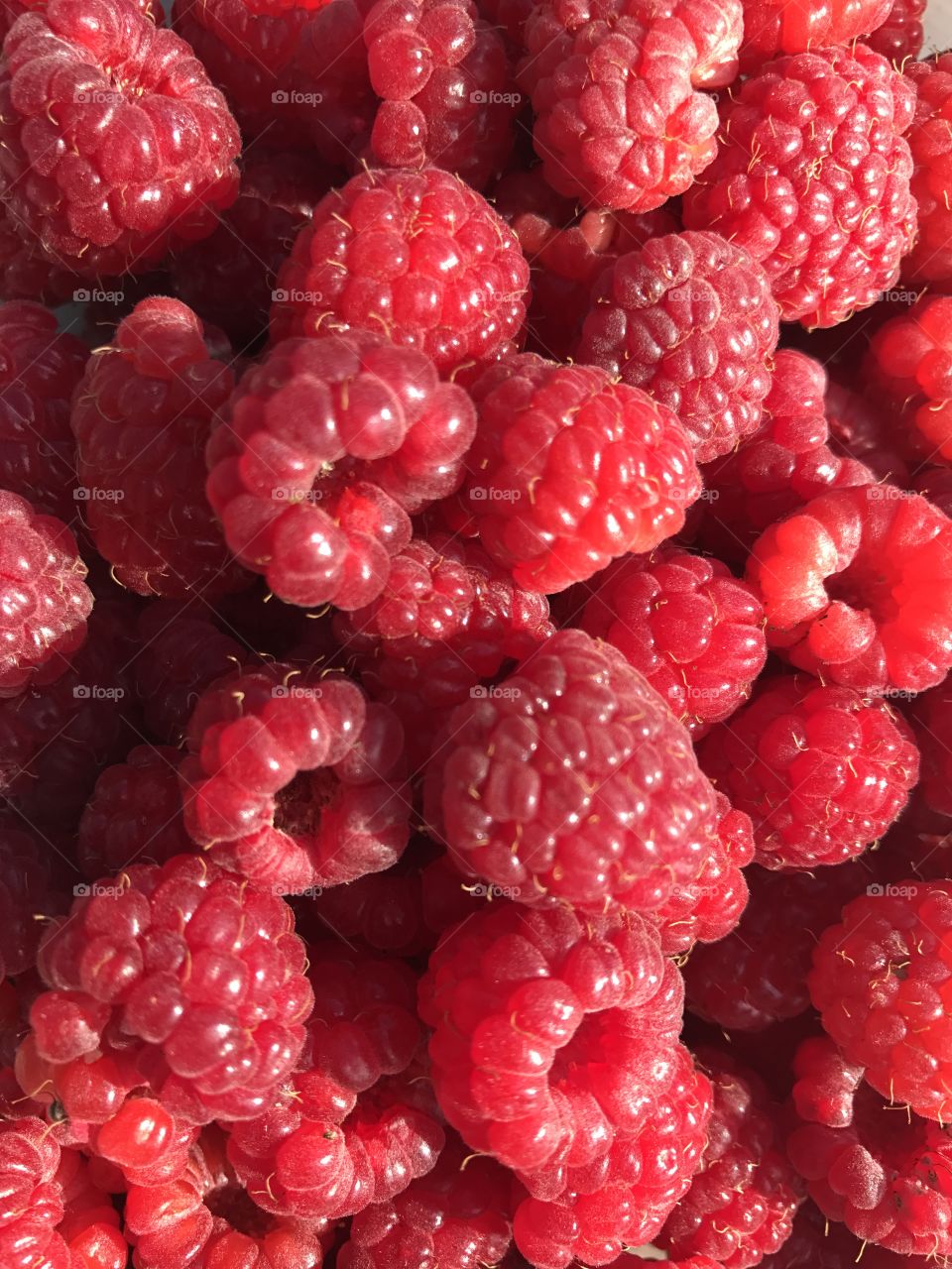 Freshly picked raspberries!