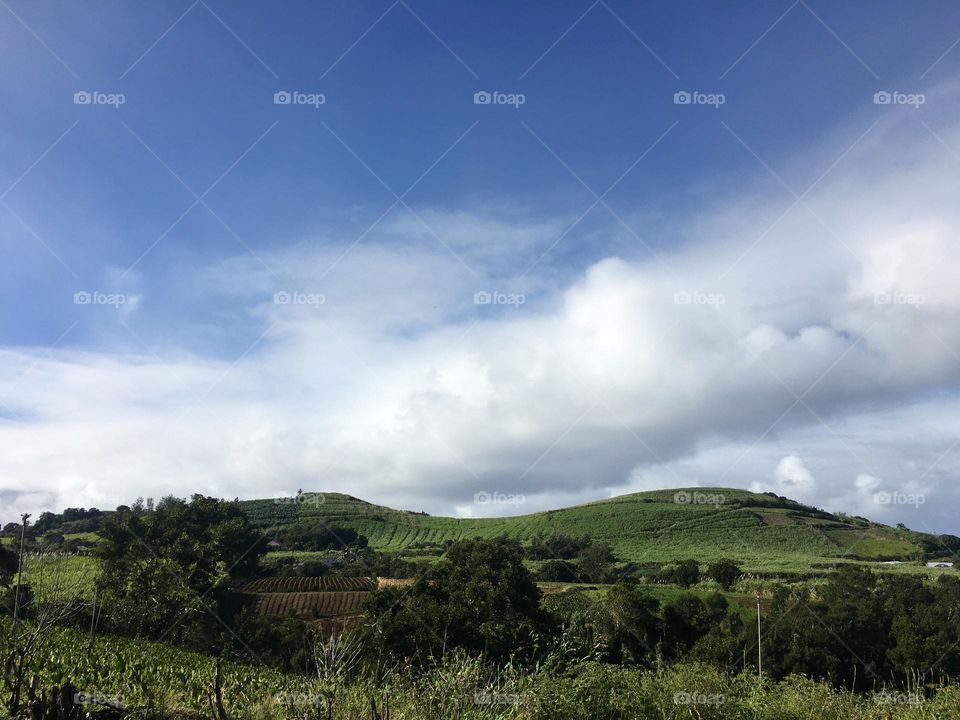 Vue sur montagne à portée de jambes