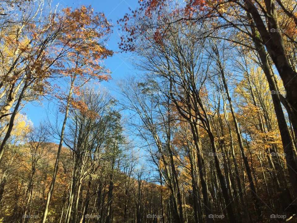 Gatlinburg