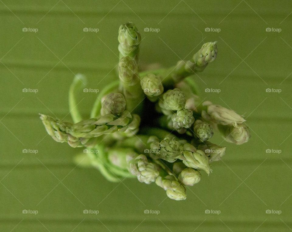 Spring asparagus still life