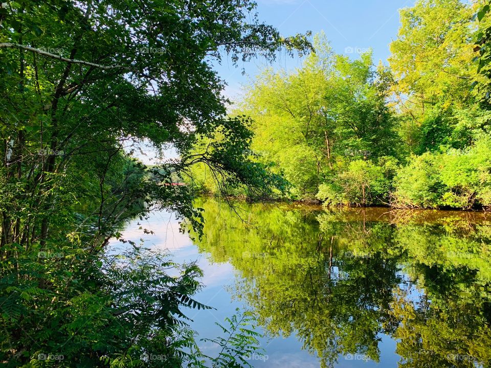 Nature’s Reflections 