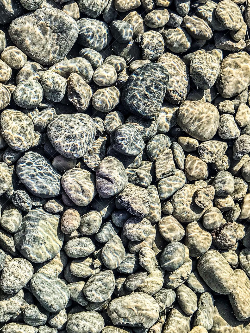 Rock feature underwater in sunlight