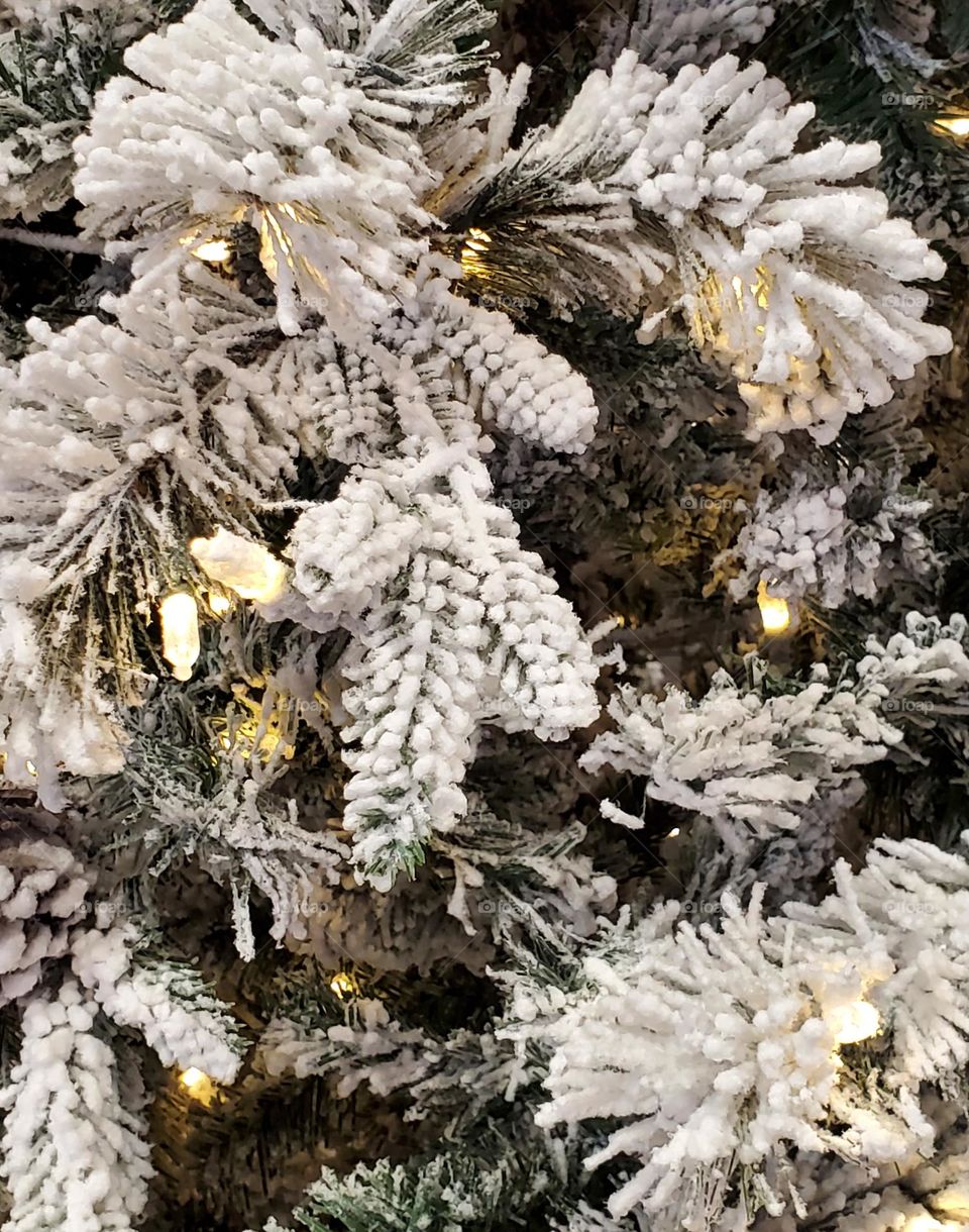 Christmas Tree of Snow and Lights