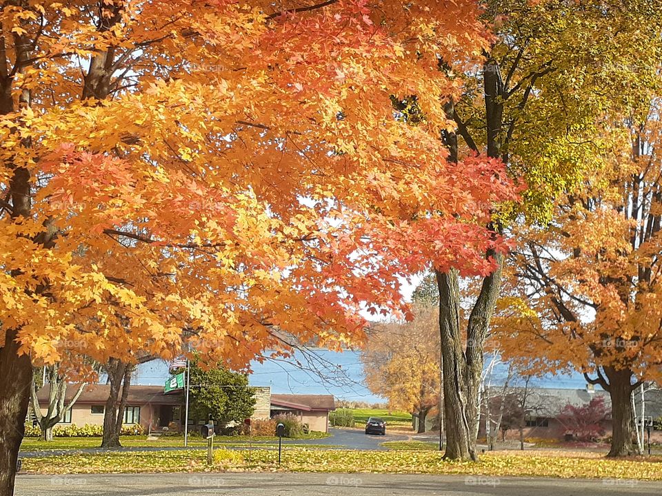 fall color in a lake neighborhood