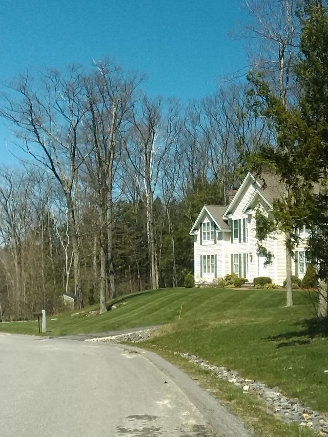 spring neighborhood