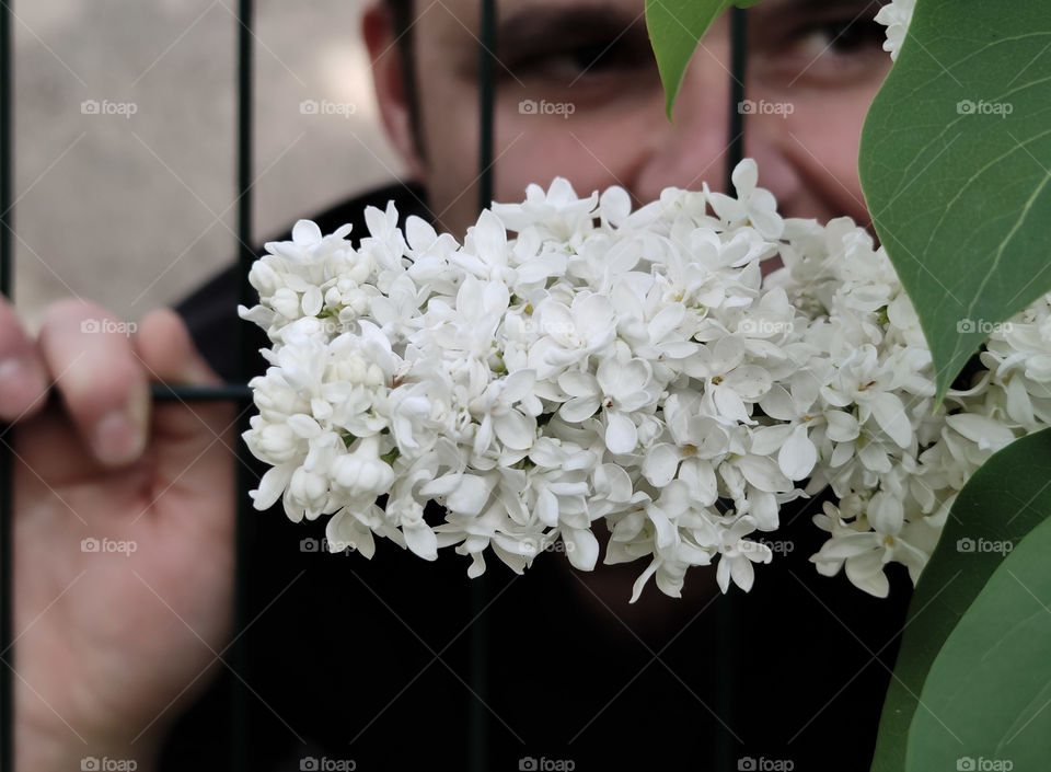 Hiding in the white lilac