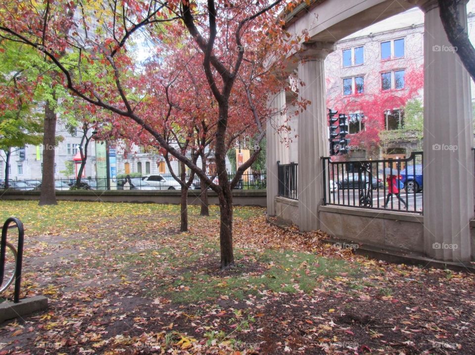 McGill University in autumn