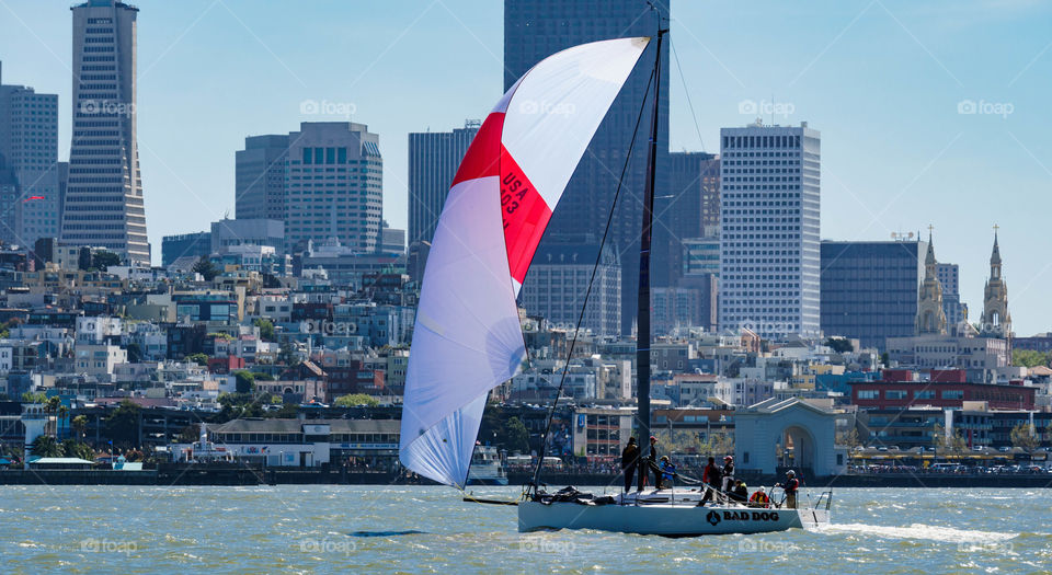 San Francisco Sailing