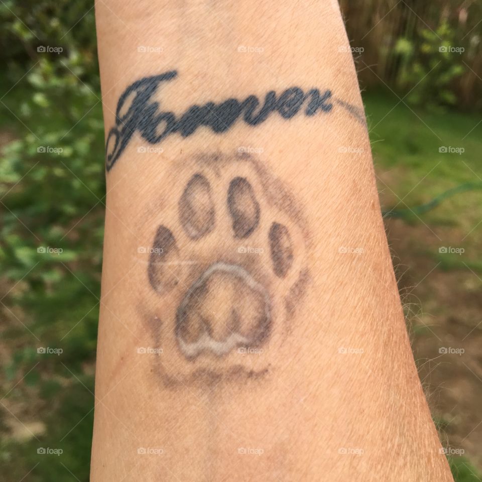 Paw print of kitty. The word "Forever" is in Script.