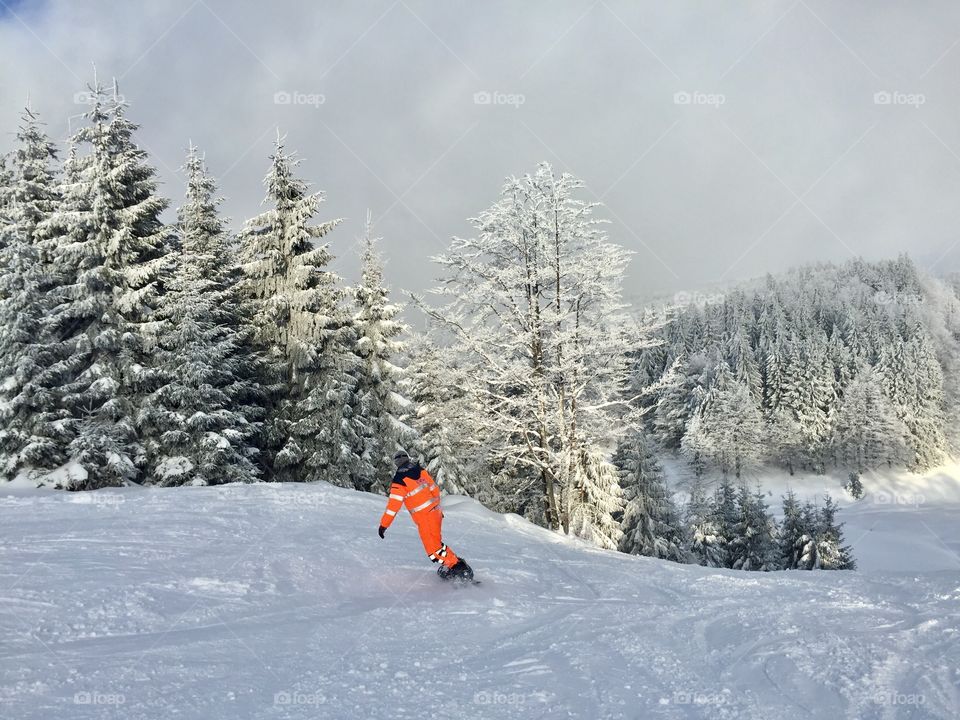 Snowboarder on the ski slope surrounded by snowy forest 