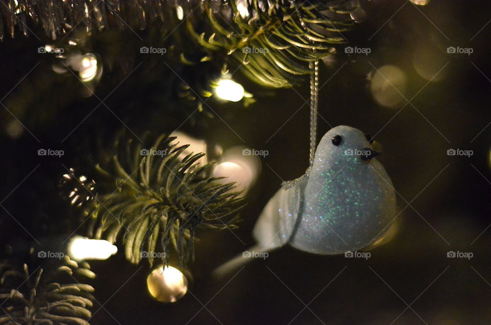 Christmas Dove