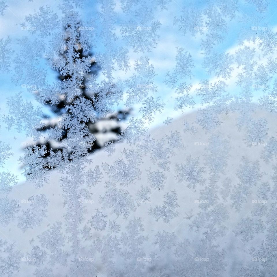 A snowbank and a tree seen through a frosty window.