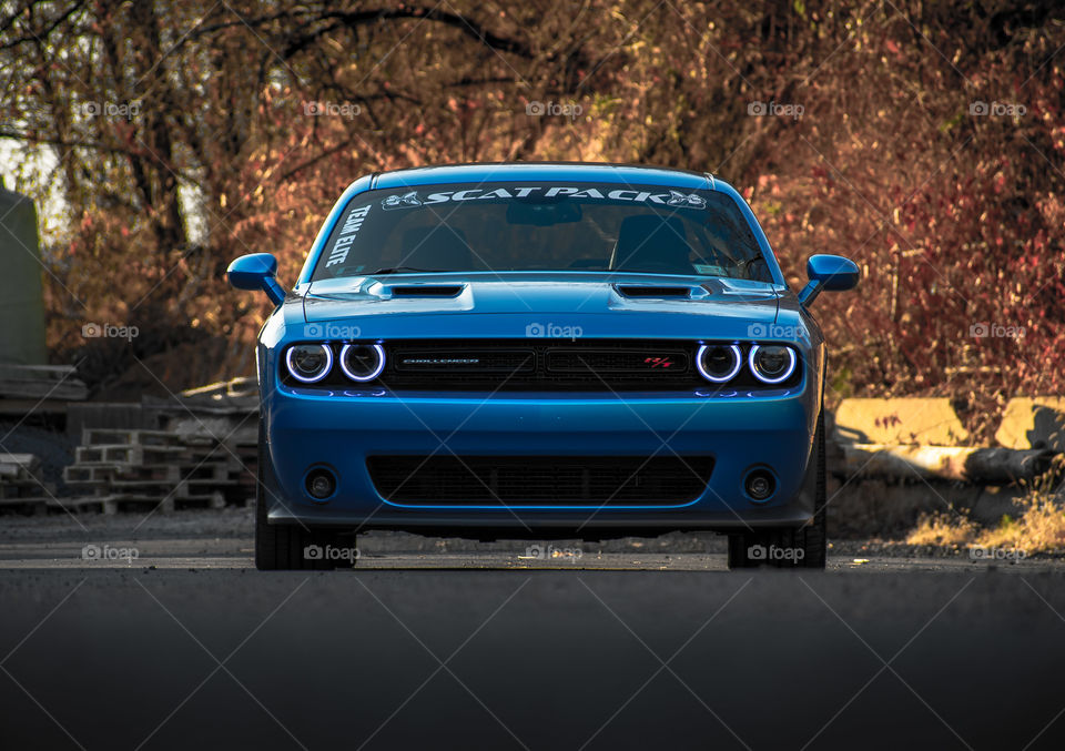 Into the eyes of the beast