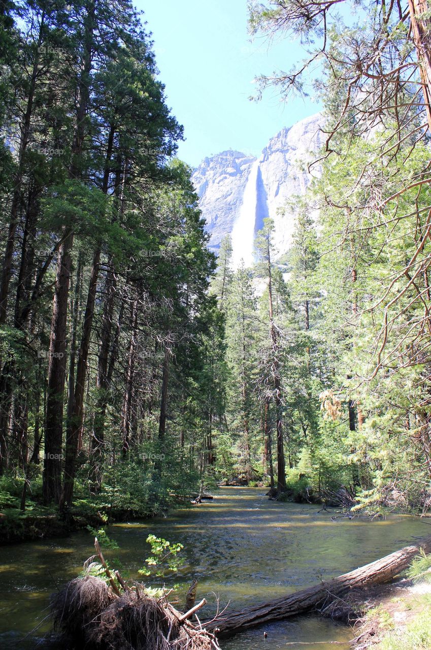 Yosemite falls 