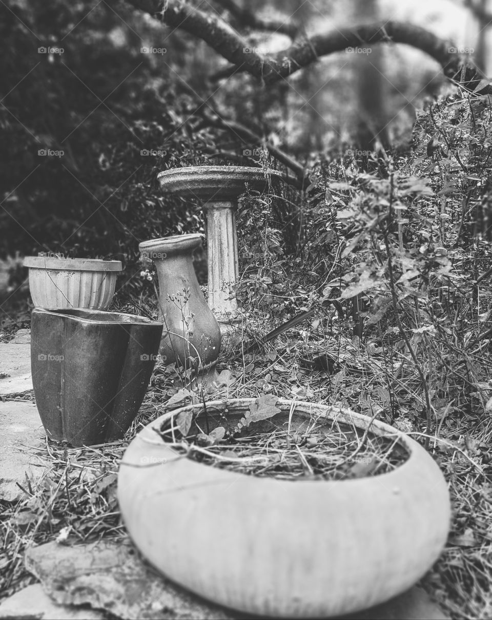 flower pots and bird baths in need of flowers