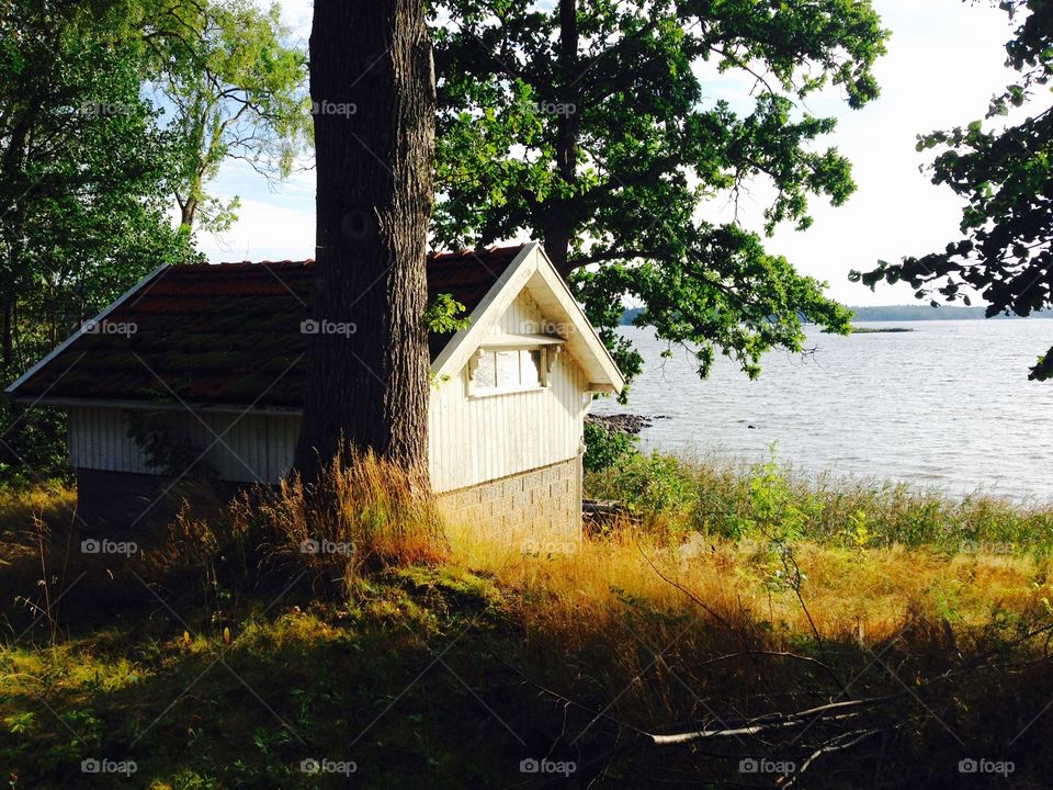 Little house by the lake. Little house by the lake