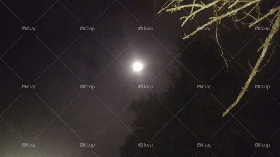 second full moon in just a few days...too pretty