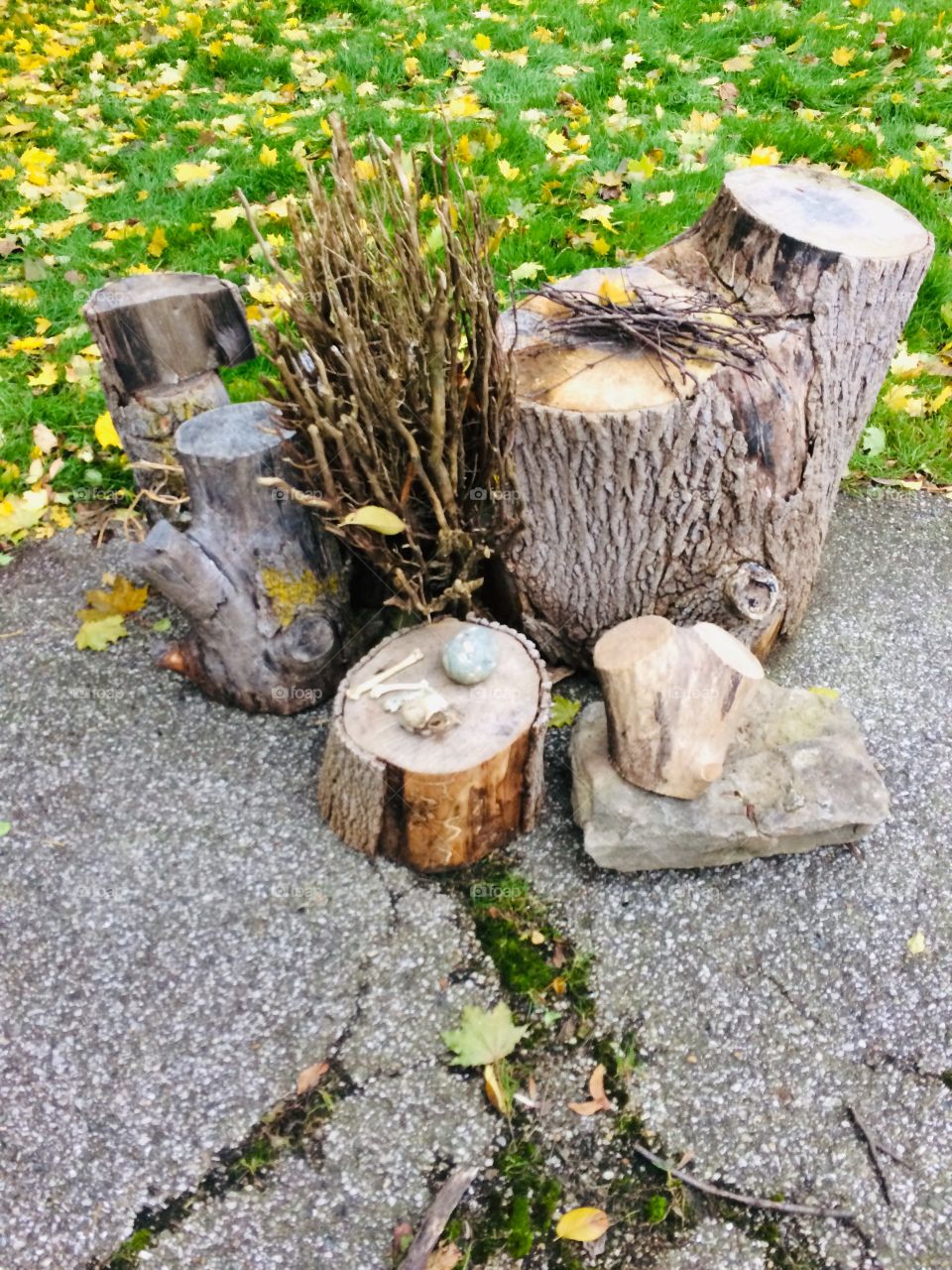 Outdoor altar with wood stumps, stone, bones and more