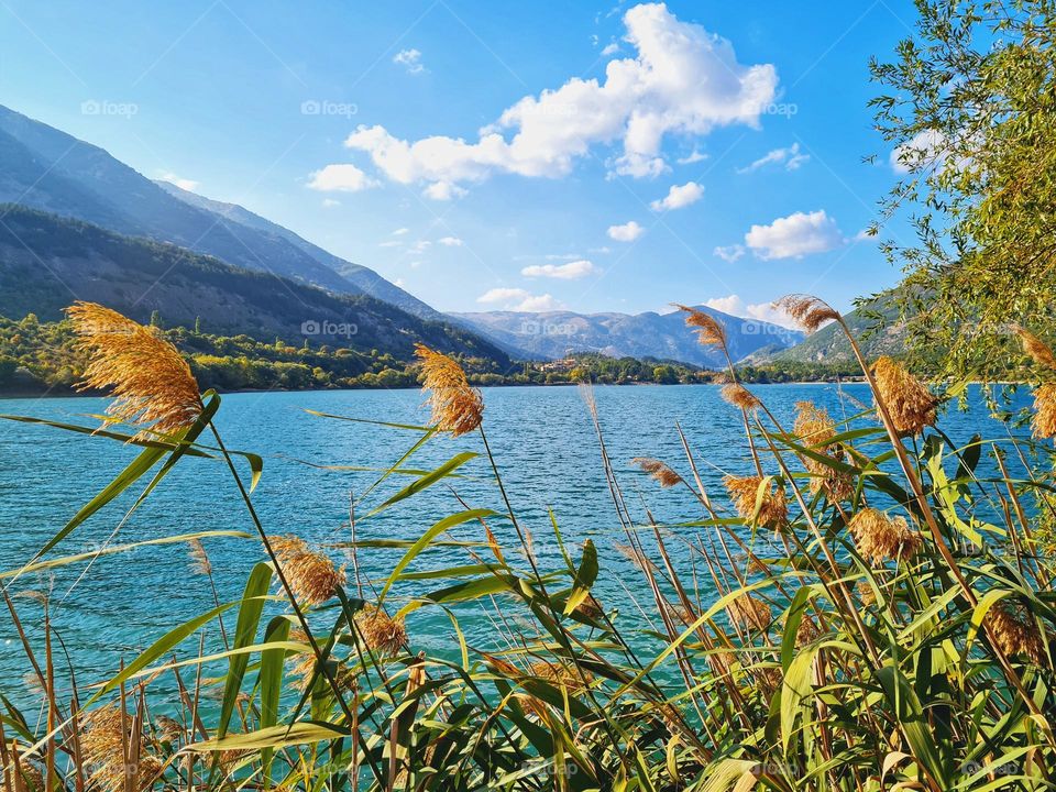 reeds on the shores of Lake Scanno