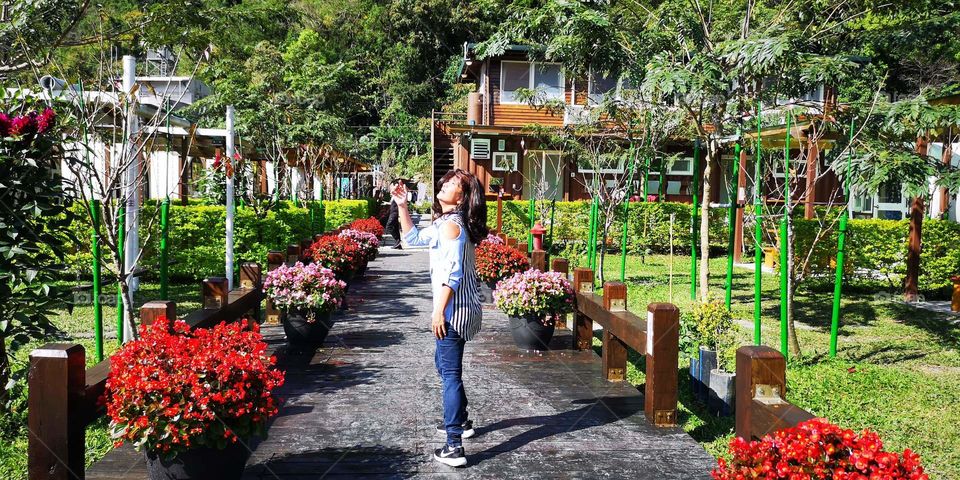 a colourful backyard