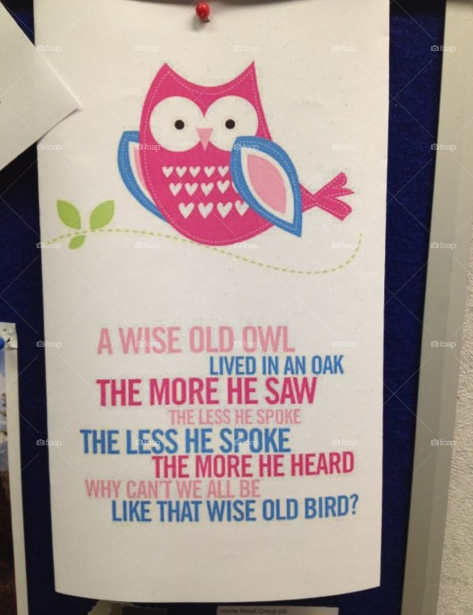 old owl saying wise by TurdOnTheRun