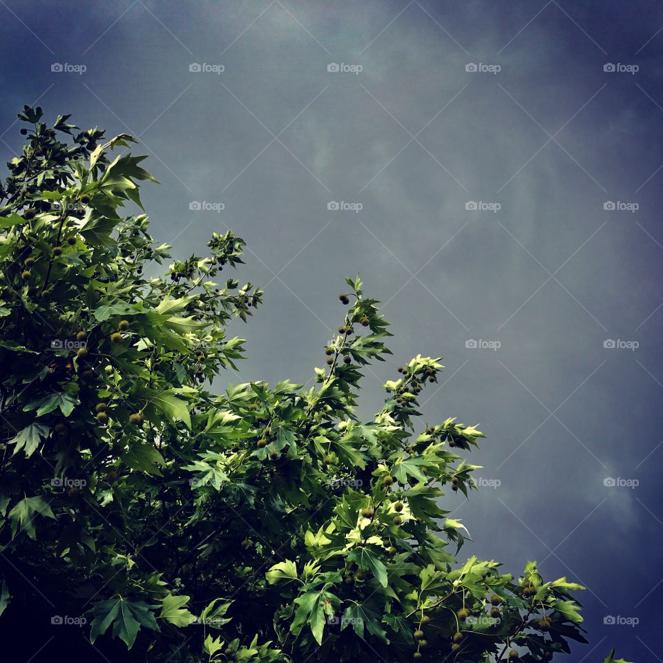 The dark clouds and storm is coming