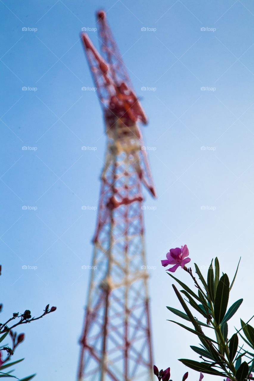 Torre con flor 