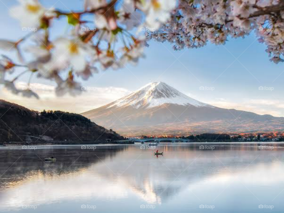 The Snowy Mountain View