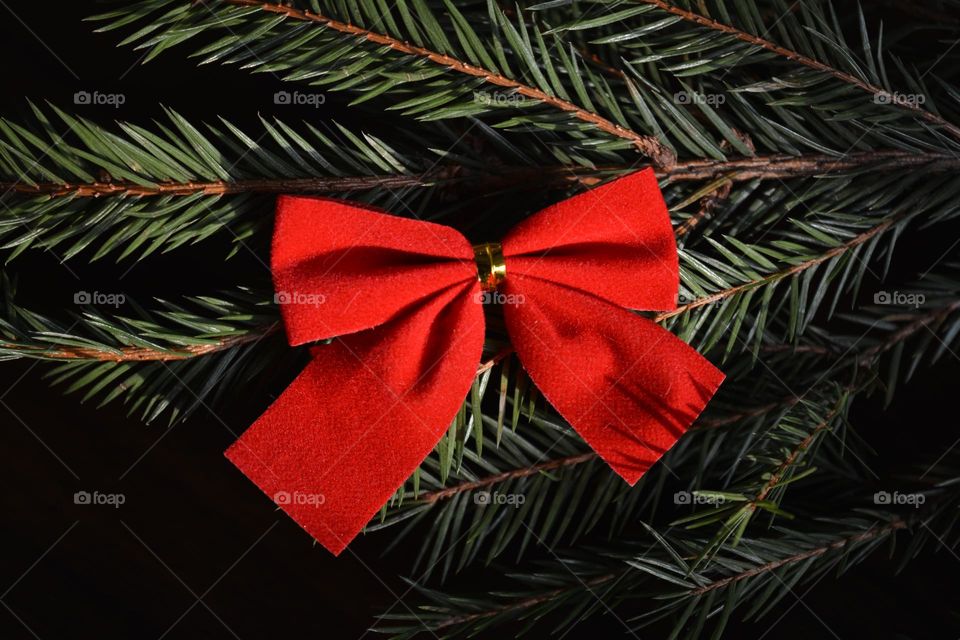 red ribbon and green fir branch Christmas decorations in sunlight