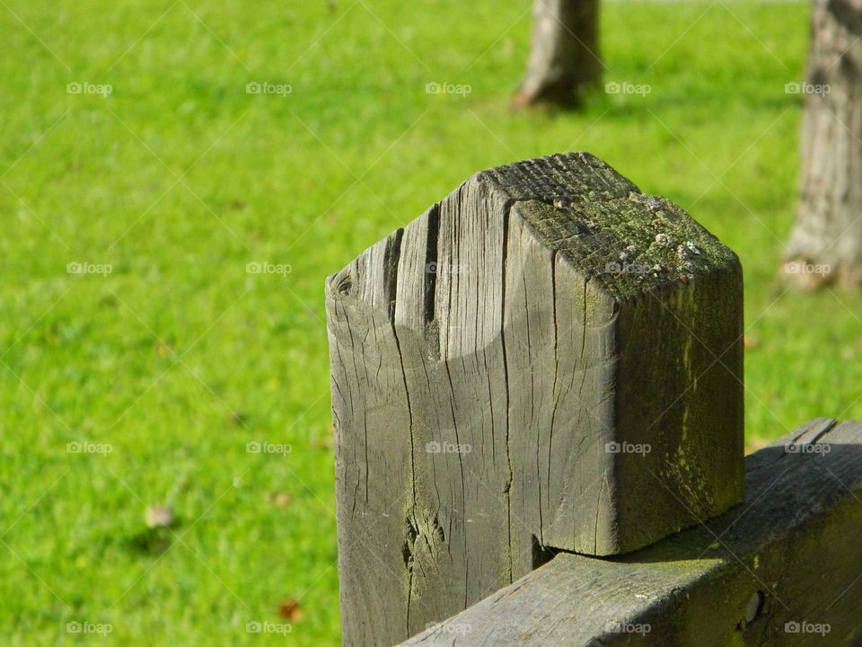 Wooden post