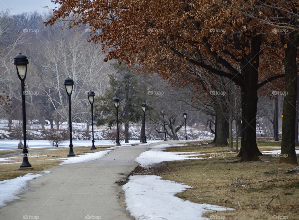 Winter along the river 