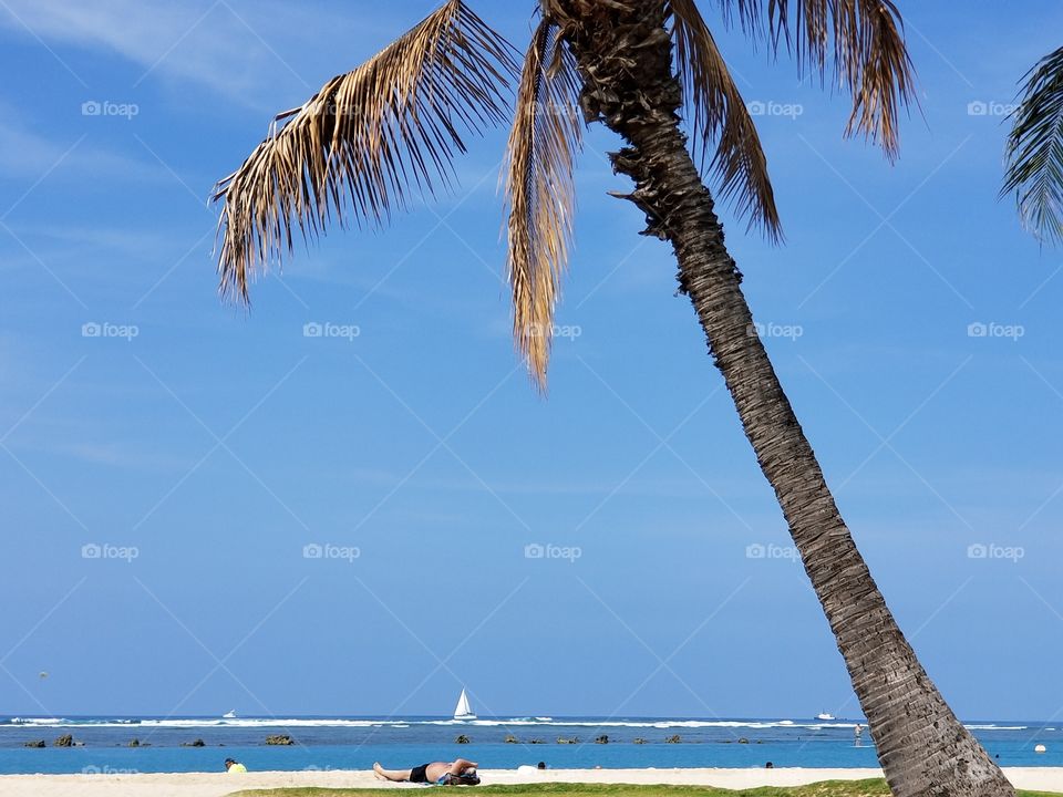 Ala Moana beach park