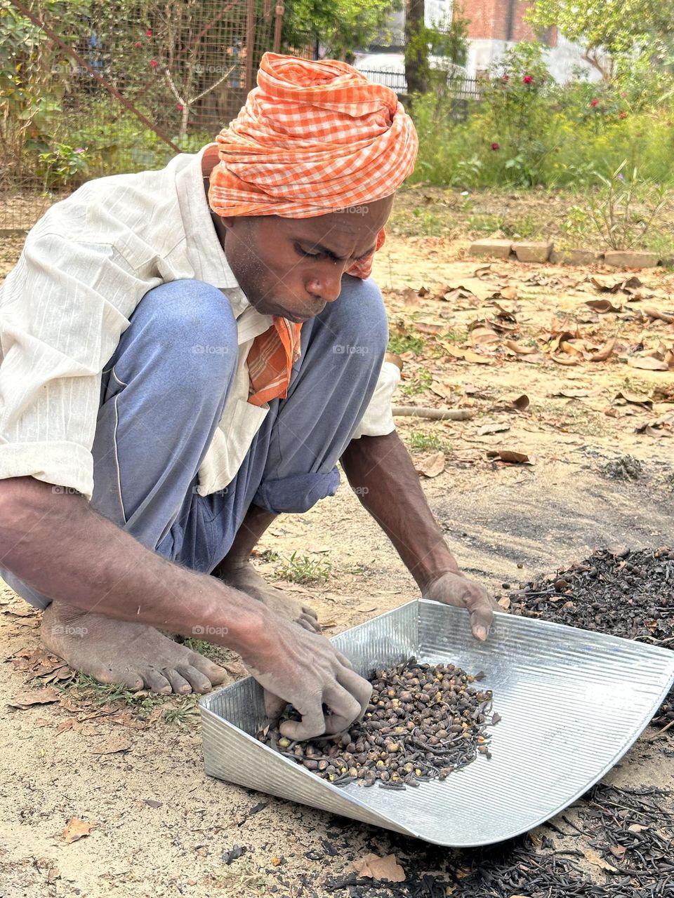 Indian man using a utensil called soup for extraction of roasted nuts