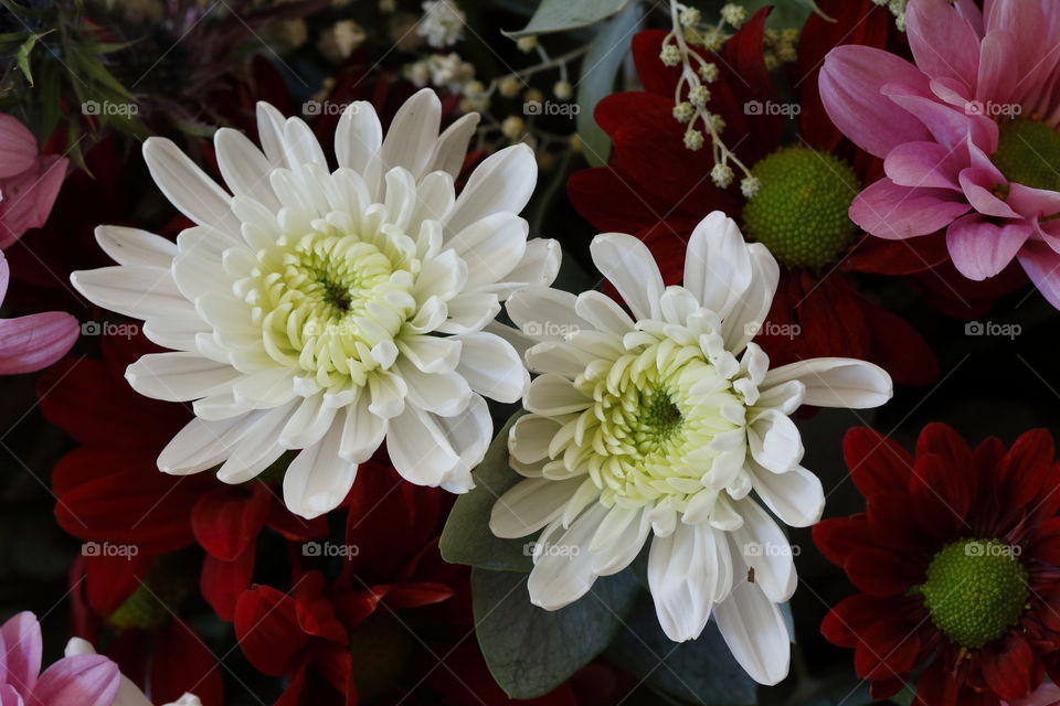 White flowers up close, gorgeous pastel bouquet