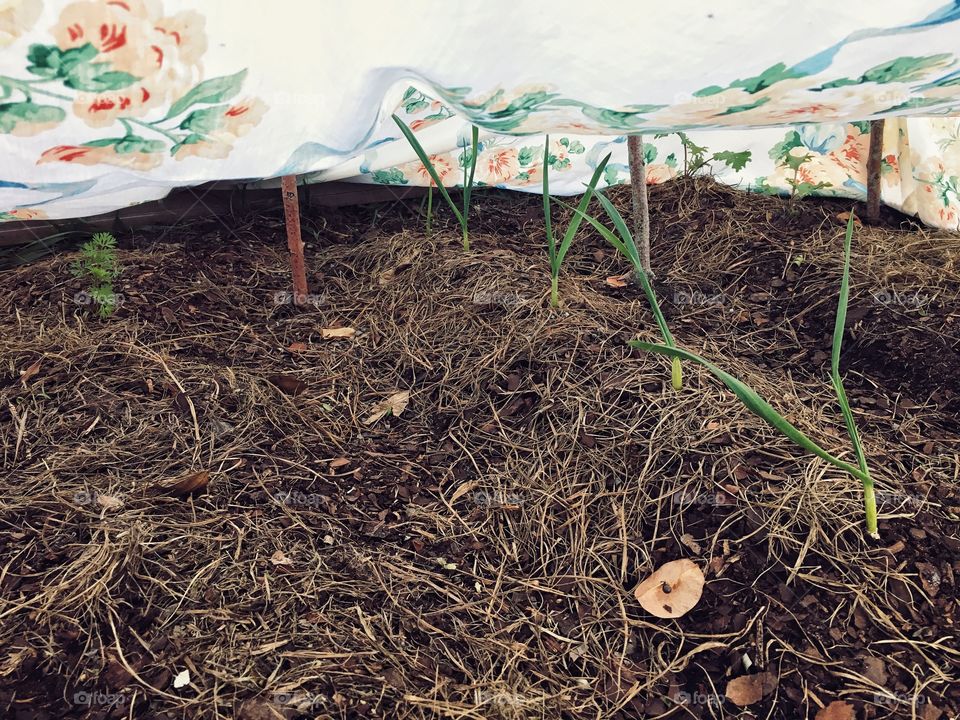 Everyone is snuggle warm on this cold fall night