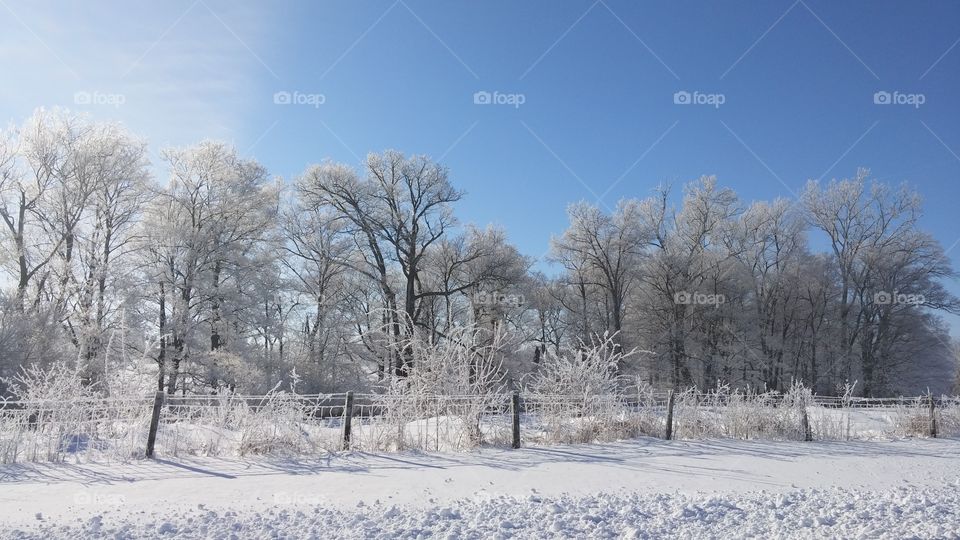 Snow, Winter, Frost, Cold, Frozen