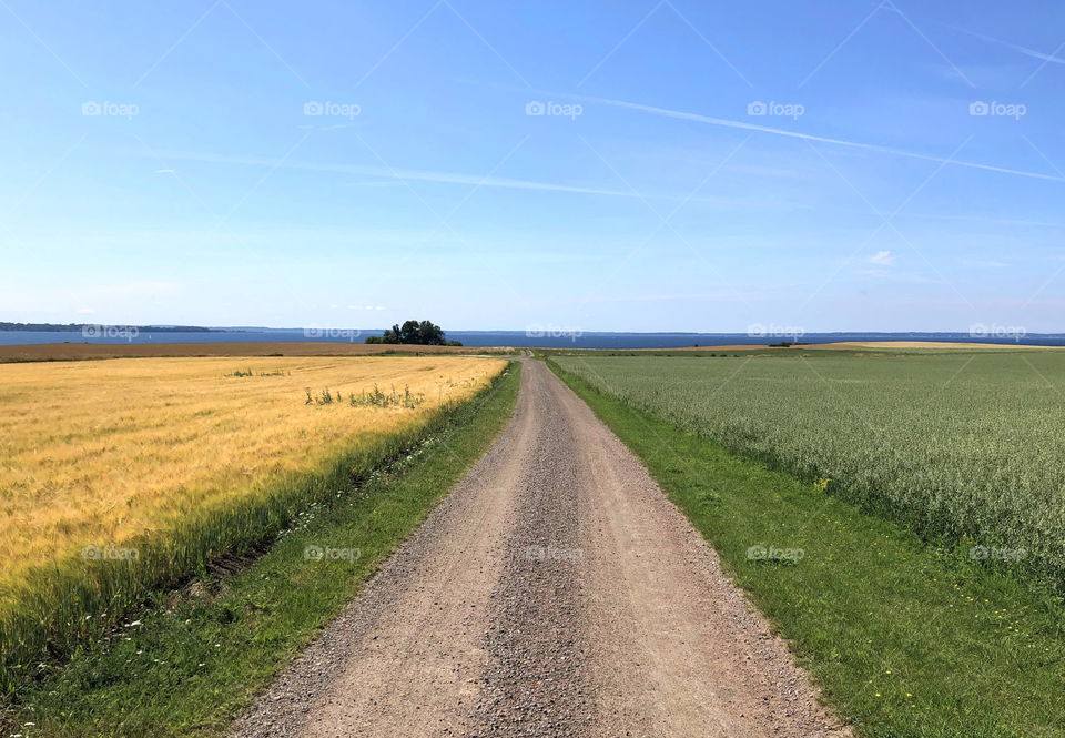 Countryside landscape, road