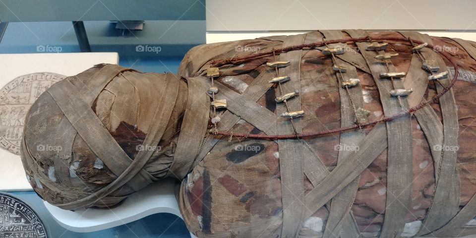 Egyptian mummy in museum display case