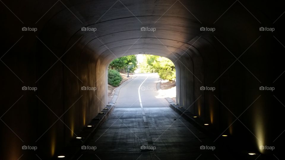 Tunnel, No Person, Travel, Bridge, Road