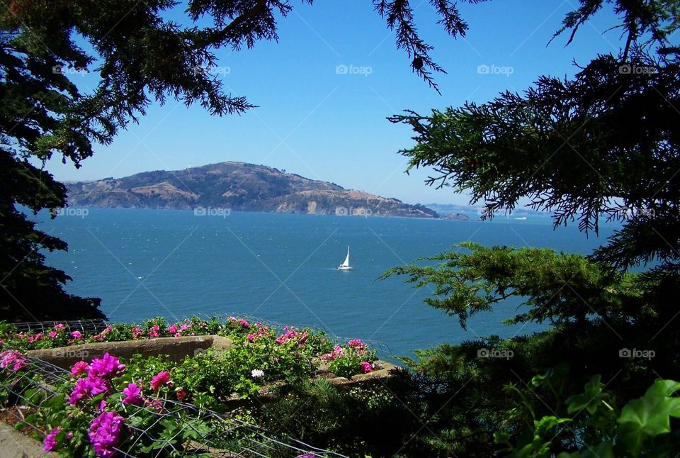 White sailboat in San Francisco bay in California, view from Alcatraz