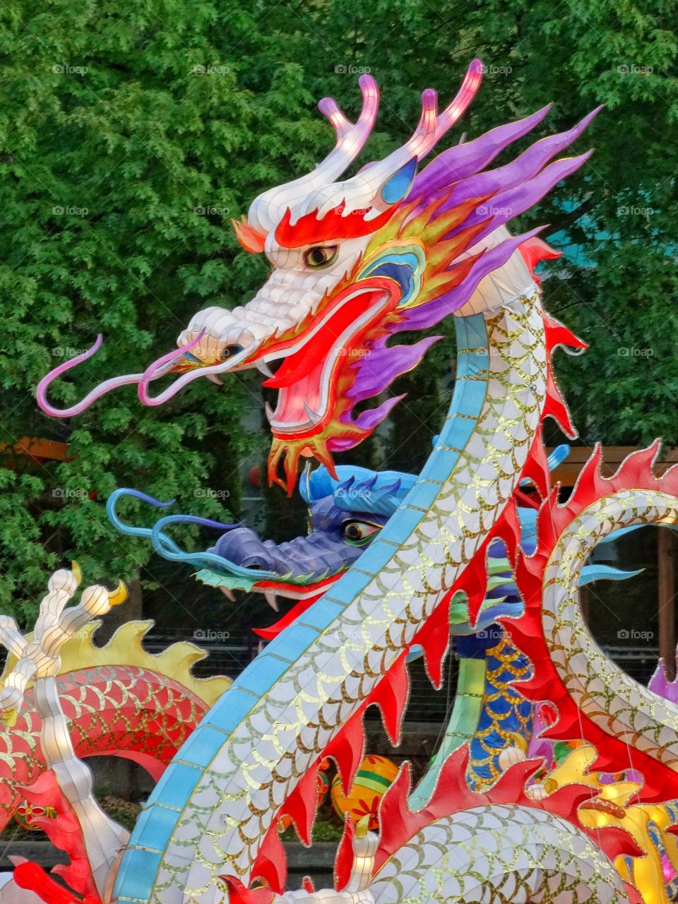 Chinese Dragon
