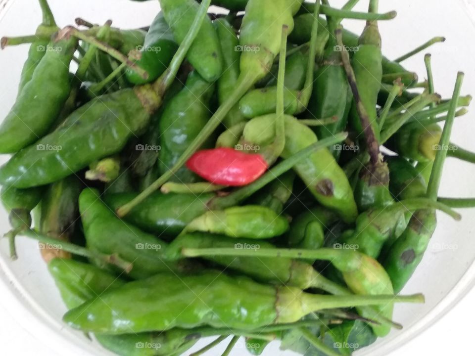 Fresh Chilly Appertizer