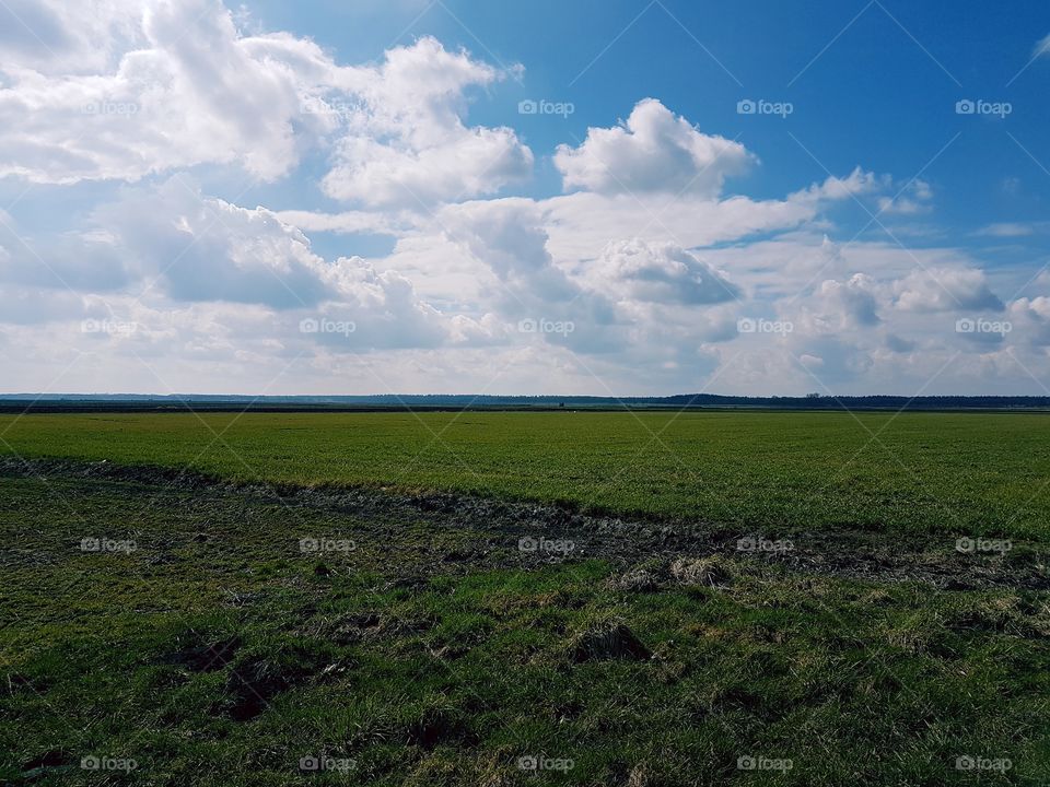 Polder, countryside view Holland