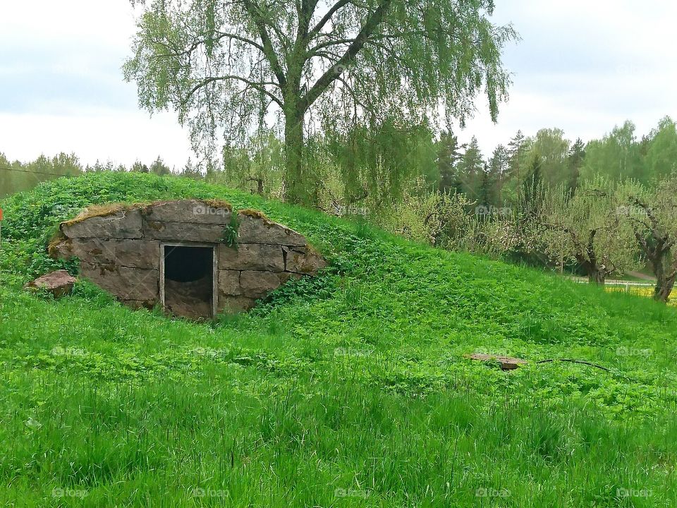 Rural garden 