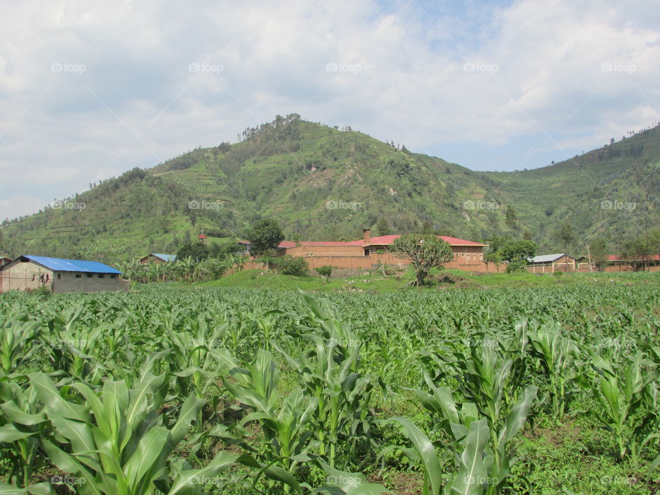 Mount Rubavu