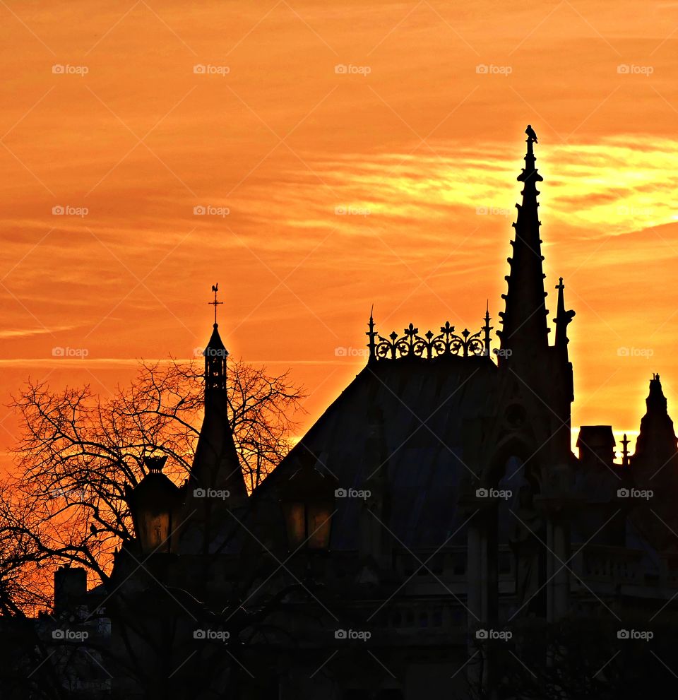 Sunset over the Notre Dame de Paris, at the Seine - Bird perched up on the steeple. One of the most historical and beautiful cathedrals in the grand city of Paris - Sunrises and sunsets of our planet 