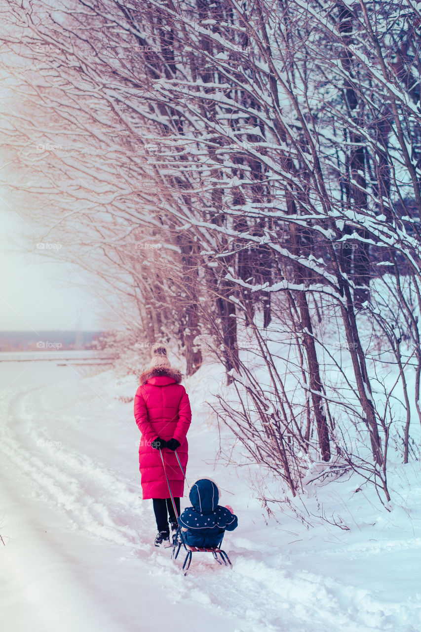 Mother and her little daughter are spending time together walking outdoors in forest in winter while snow falling. Woman is pulling sled, a few years old girl is walking through the deep snow, enjoying wintertime