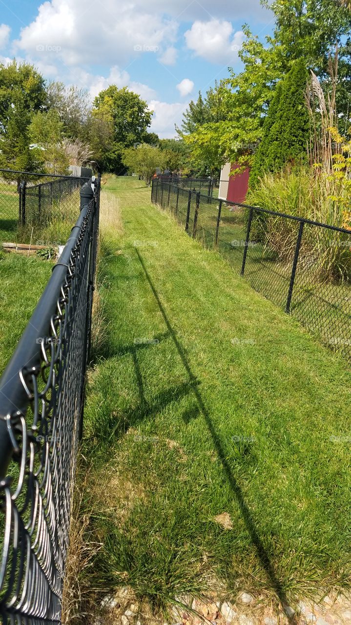 Fence, Grass, No Person, Nature, Outdoors